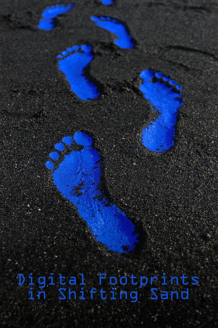 Digital Footprints in Shifting Sand product image (1)