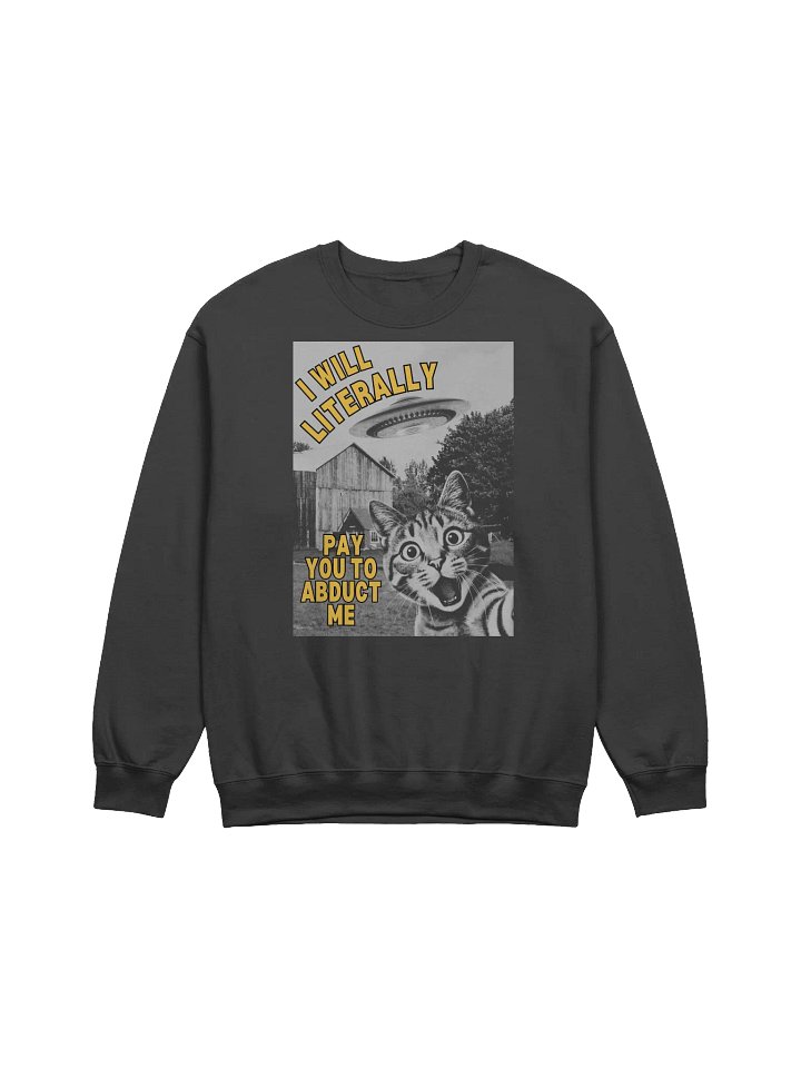 I Will Literally Pay You To Abduct Me Sweatshirt product image (1)