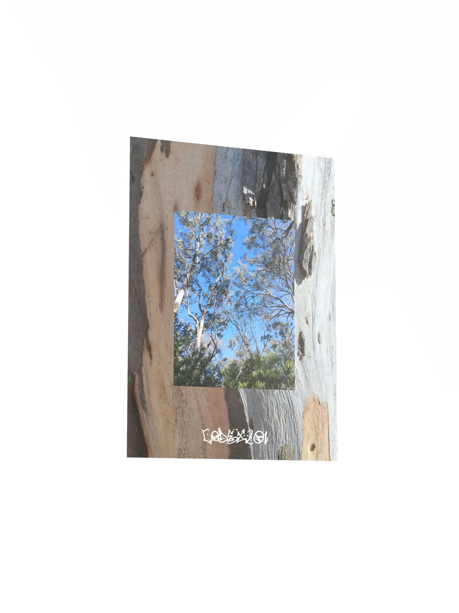 Bark 2 Bark product image (19)