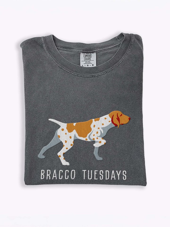 Bracco Tuesdays T-Shirt(Embroidered) of a Bracco Italiano(Tan & White) product image (1)