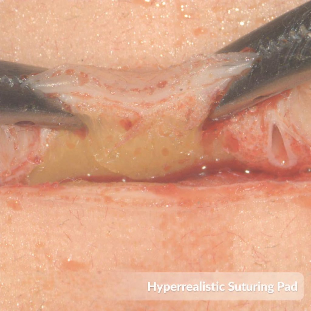 Hyperrealistic Suture Pad (that even bleeds) + Tools & Sutures product image (5)