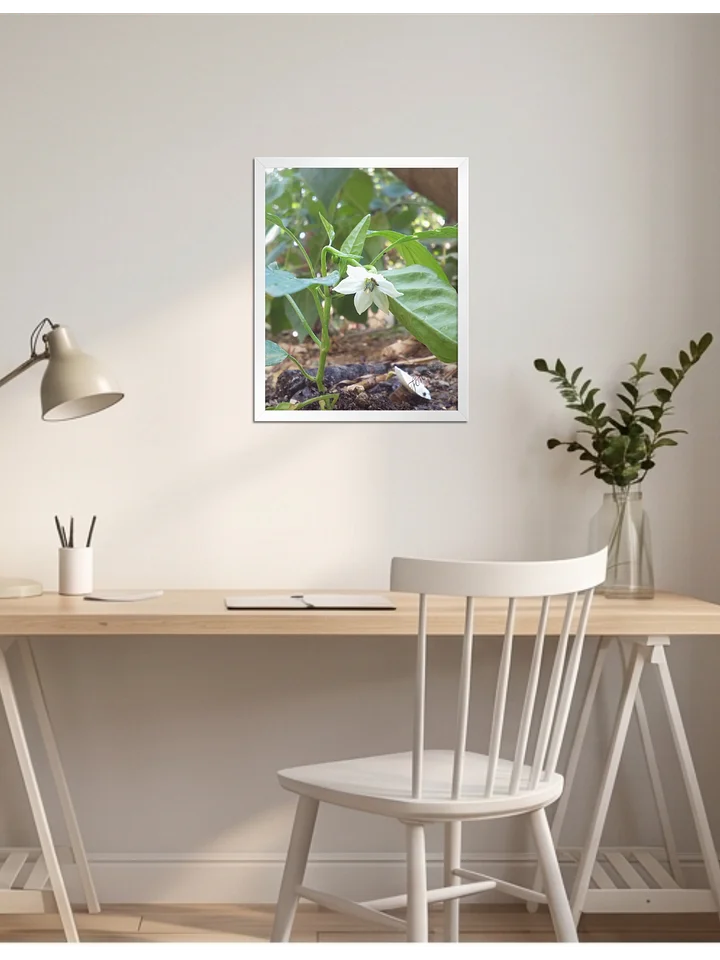 Peper - Matte Poster product image (1)