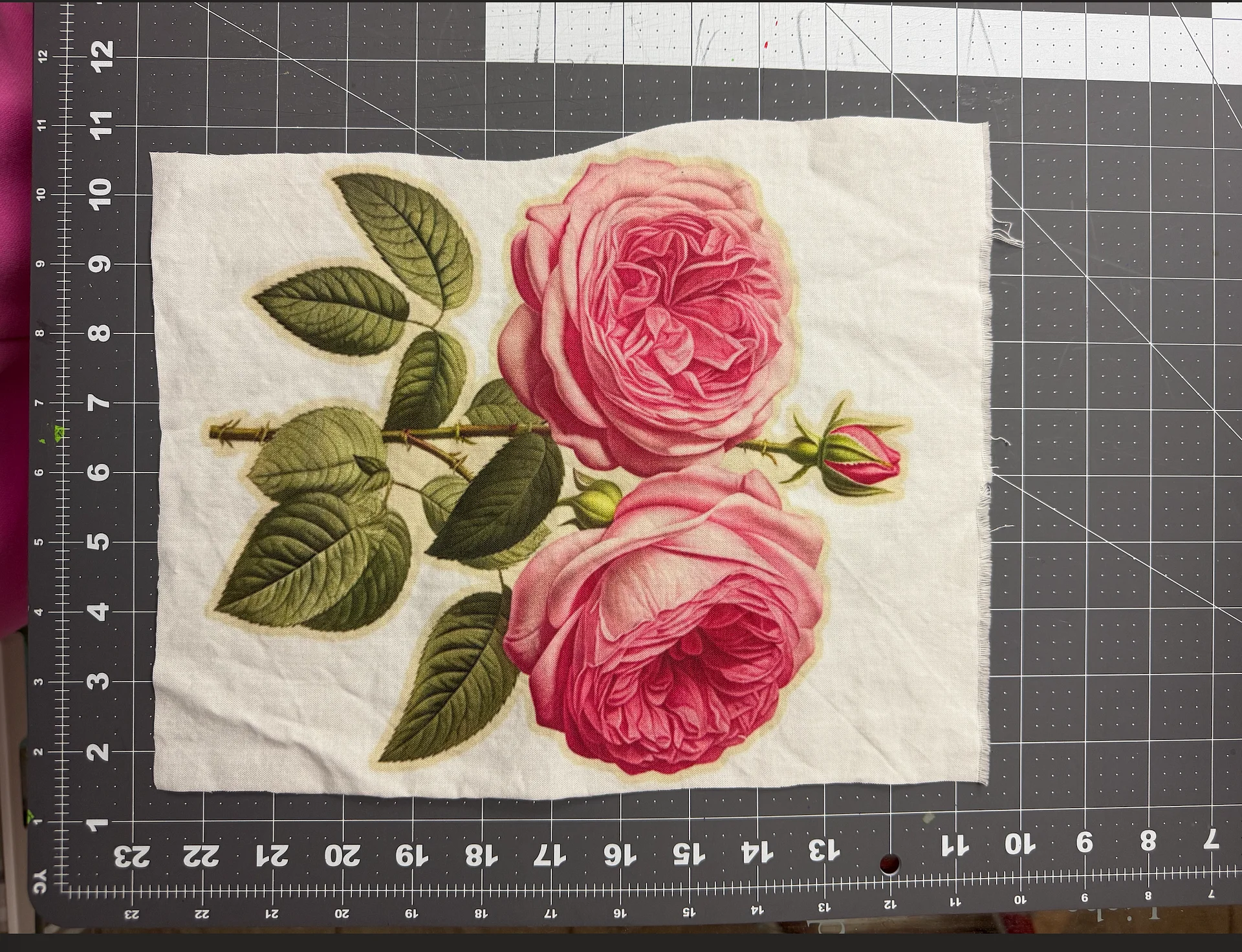 JUMBO ROSES product image (1)