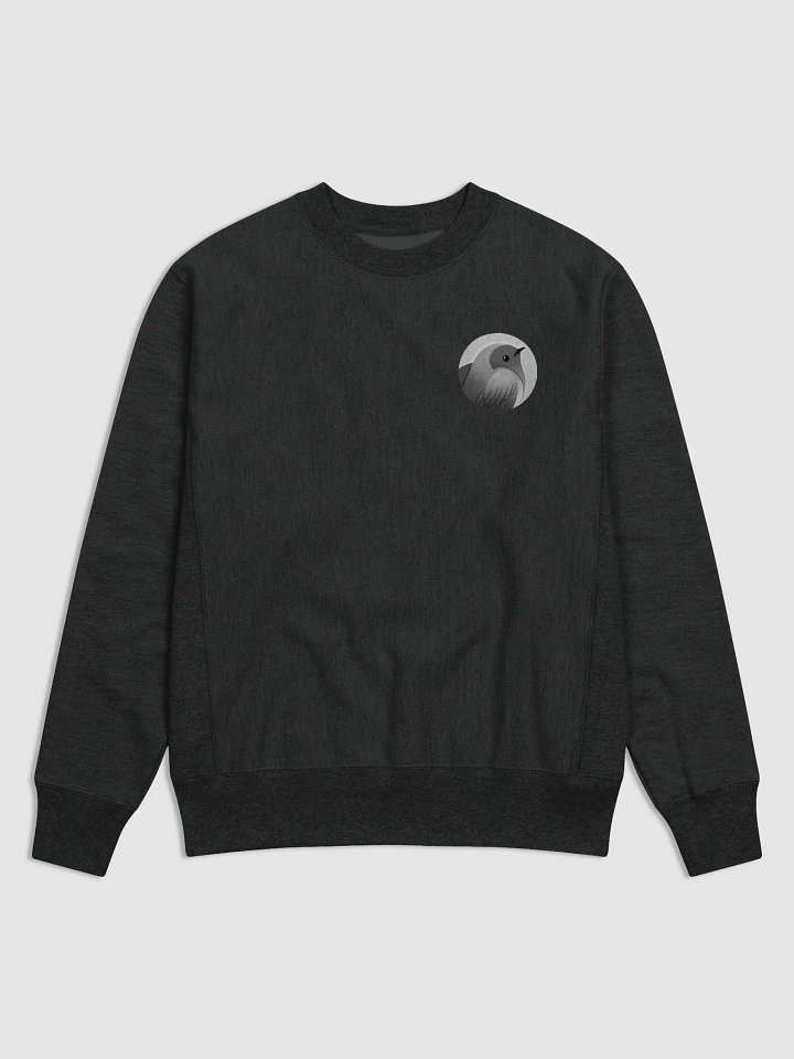 Sweatshirt product image (1)
