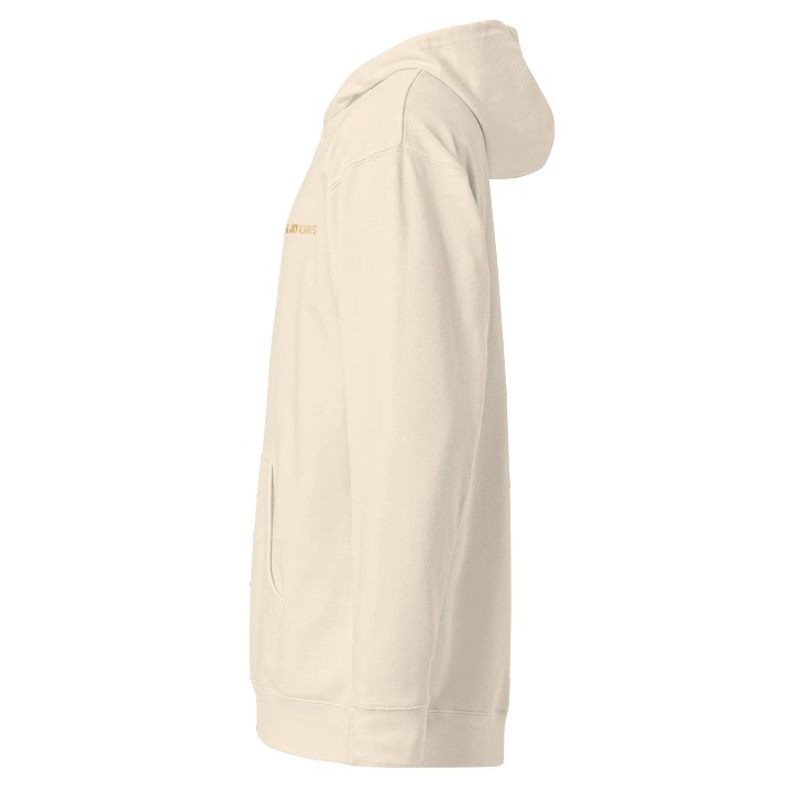 Soully Mine- GOLD PRINT Boundaries First. Love & Joy Always Hoodie product image (18)