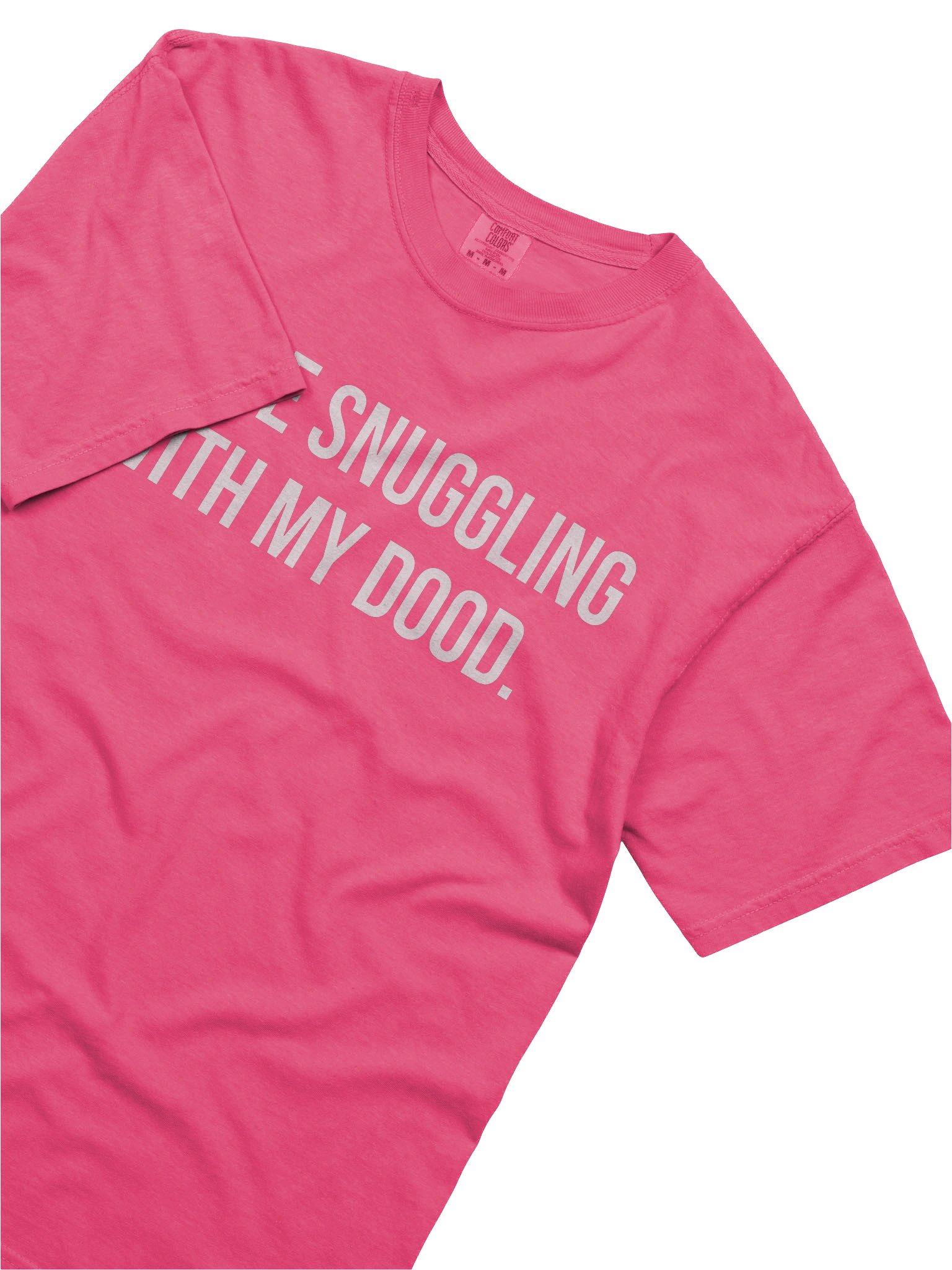 Dood Snuggling Comfort Colors Garment-Dyed Heavyweight T-Shirt product image (26)