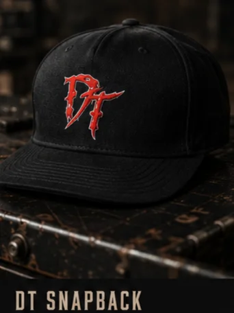 DT Snapback product image (1)