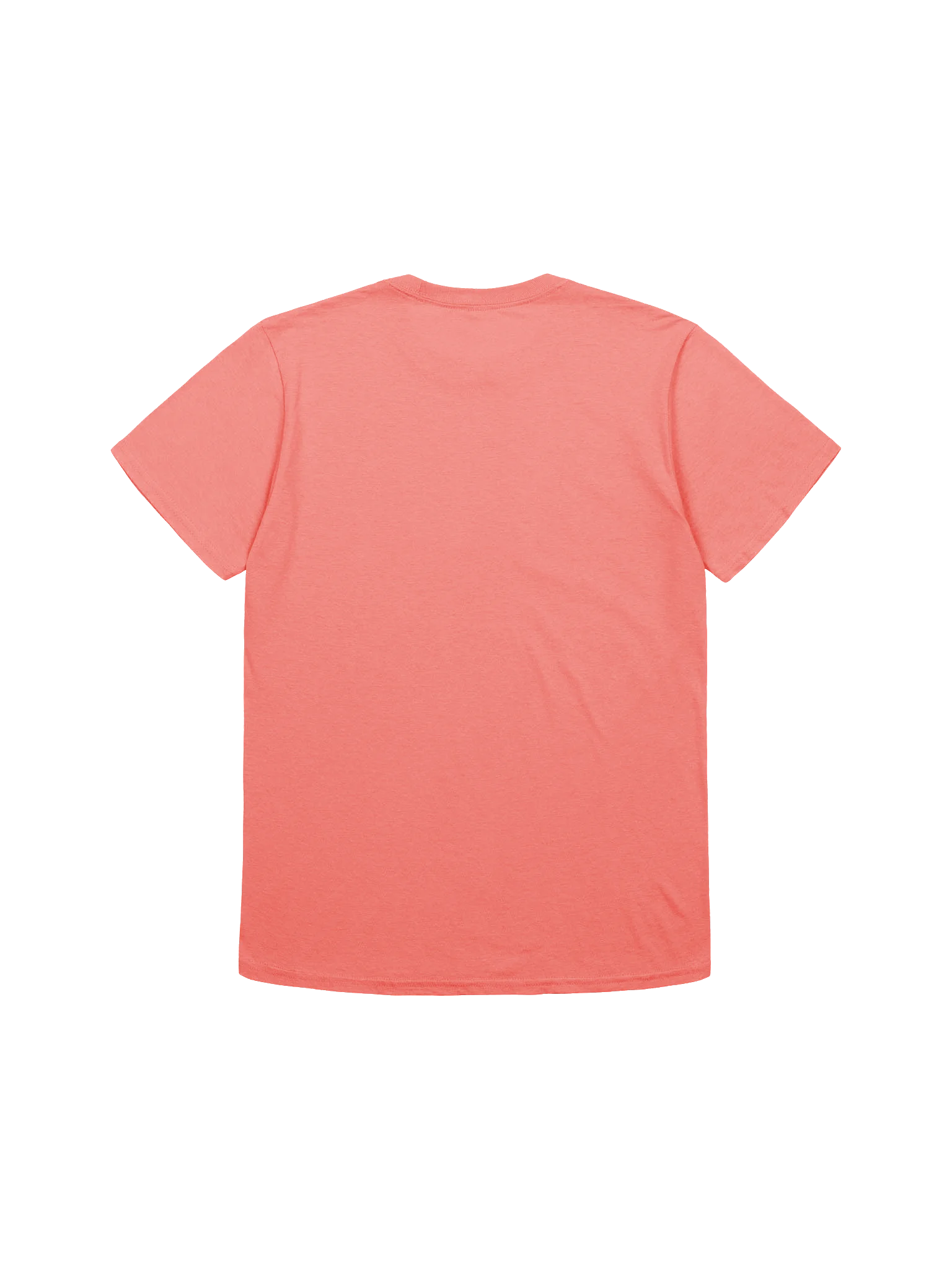 Frog and Toad Ice Cream T-Shirt product image (4)