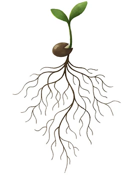Roots tier thumbnail