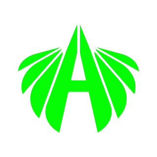 MDNT_Angel