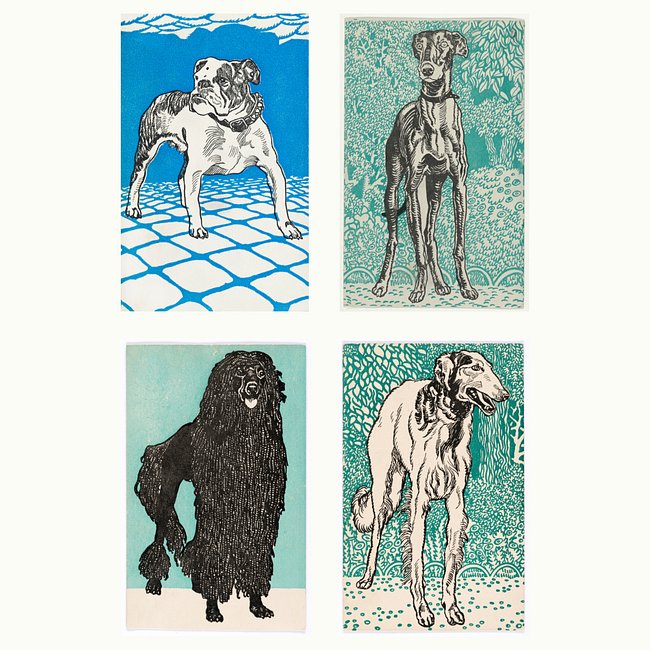 Canine Studies