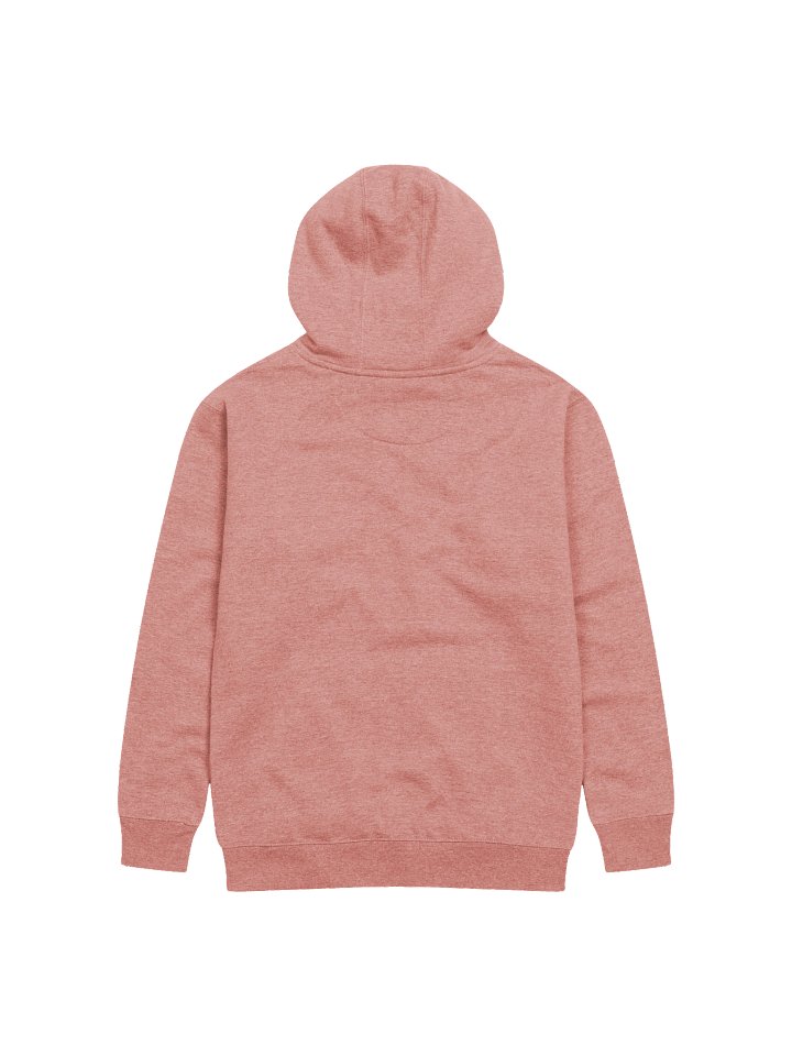 WP5 Pullover Hoodie product image (2)