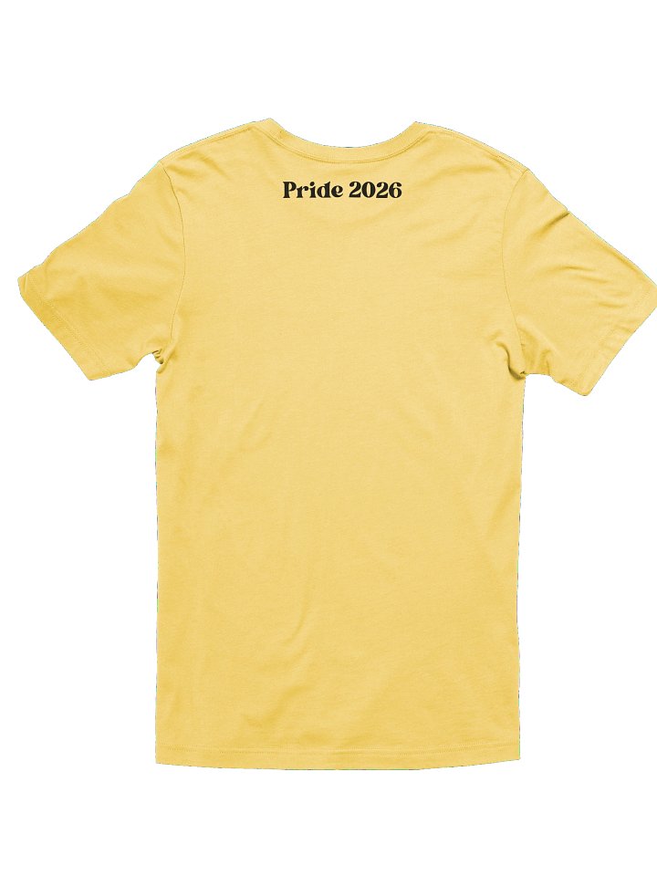 Darling of Sodomites Black Font Retro Pride T-Shirt product image (98)