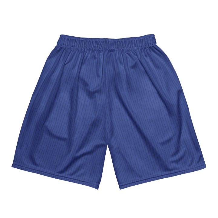 World Cup Underdog Project - USA Shorts product image (2)