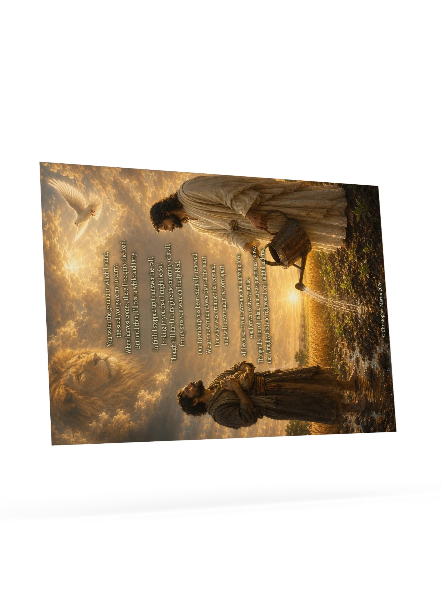 Abundant provision product image (9)