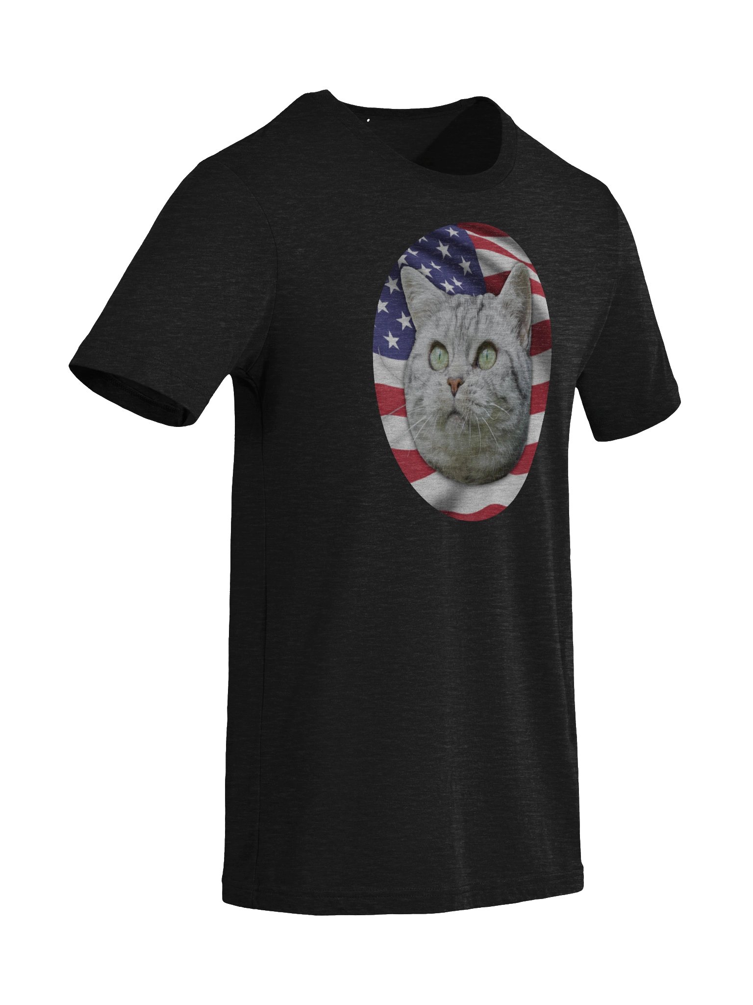PATRIOTIC CAT LOGO (Triblend) product image (33)