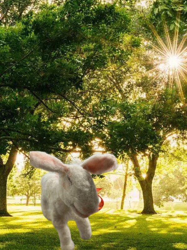 Hand-Felted Wool Lamb Sculpture - Poseable "Contented" Sheep - One-of-a-Kind Heirloom Nursery Decor Product product image (8)