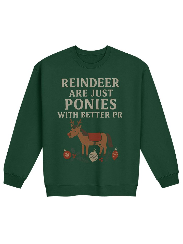 The Reindeer Ponies Sweatshirt product image (1)