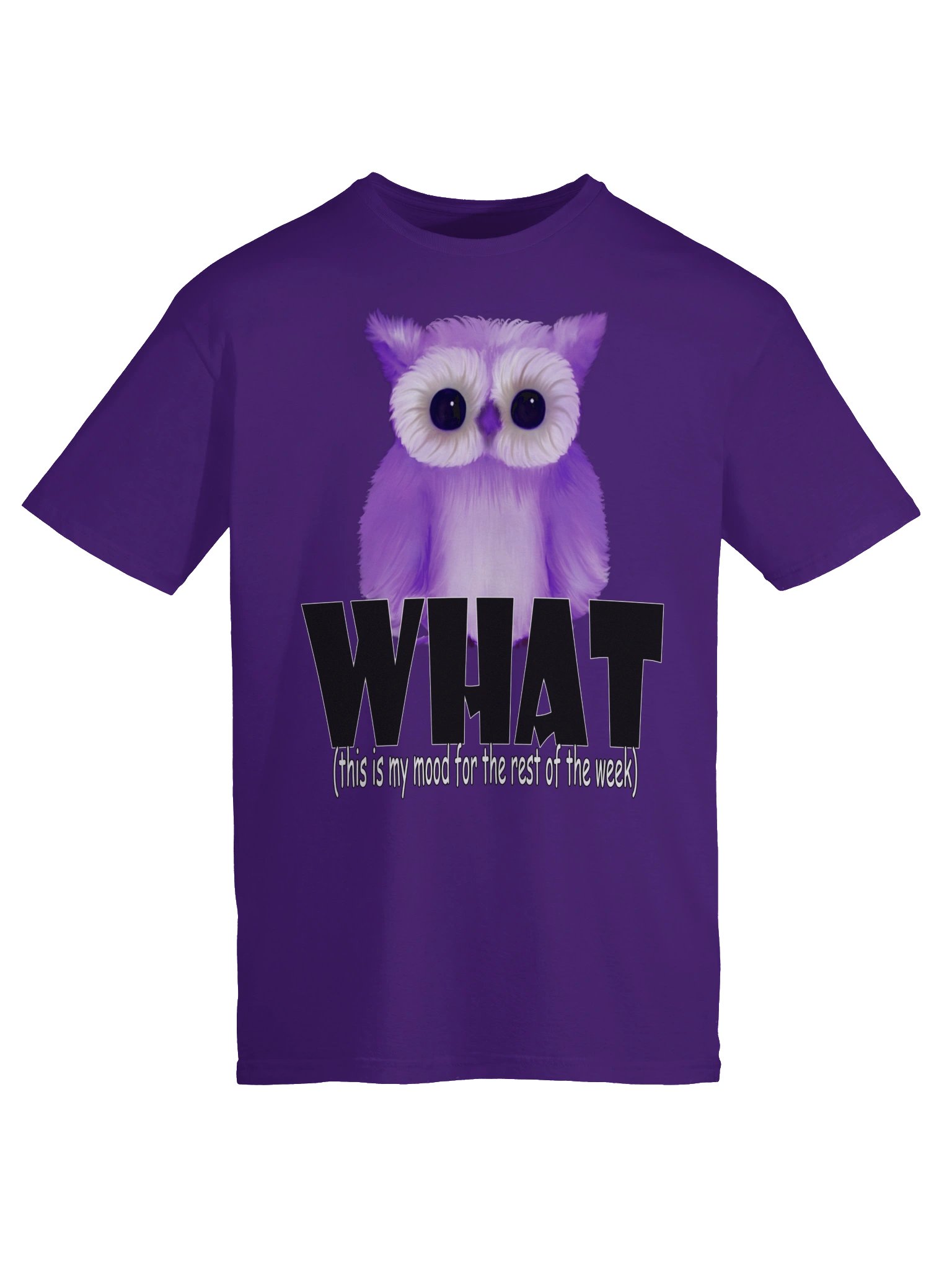 Owl "WHAT" T-Shirt. Unisex Gildan Softstyle T-Shirt product image (3)