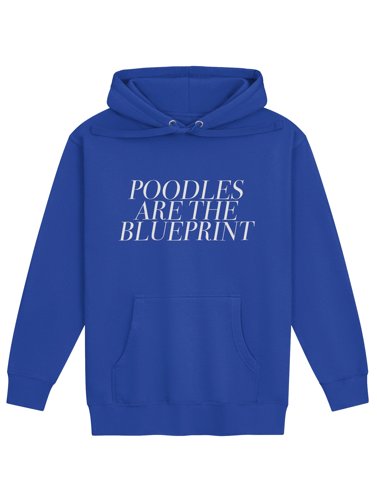Poodles Are the Blueprint - Hoodie - Blue product image (1)