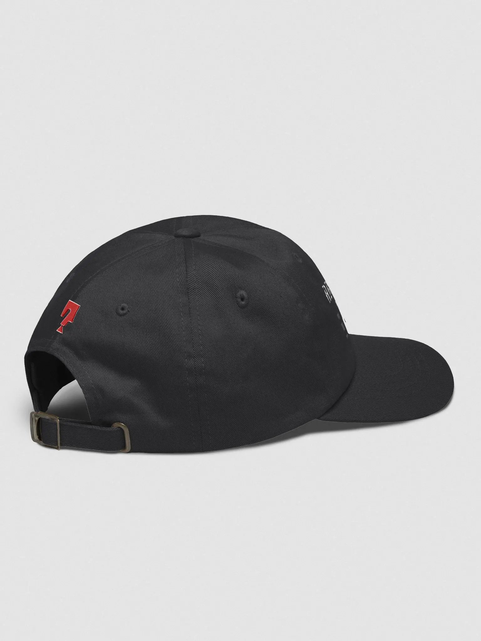 WORLD TOUR Classic Dad Hat product image (4)