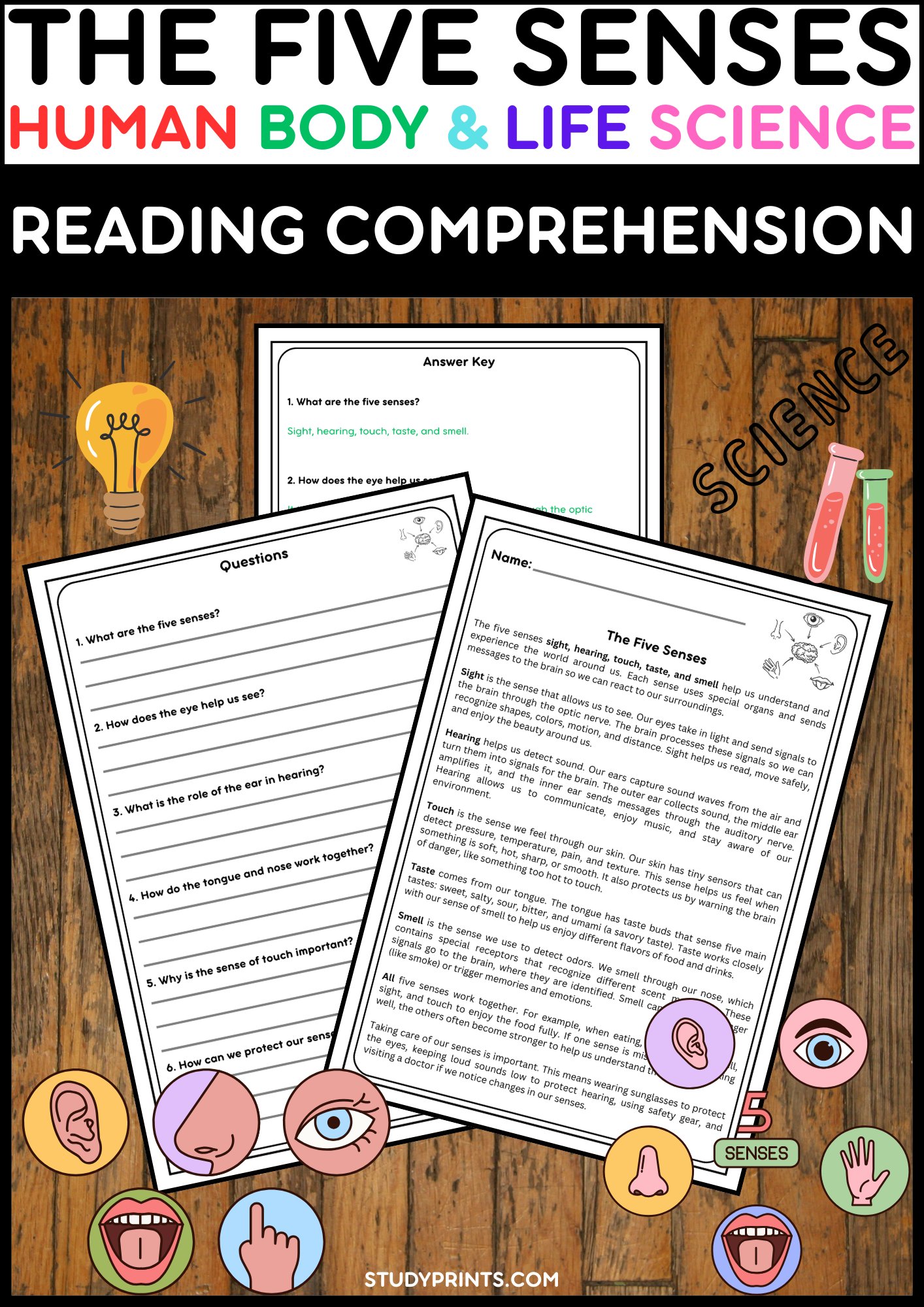 The Five Senses Reading Passage with Comprehension Questions | Human Body & Life Science product image (1)