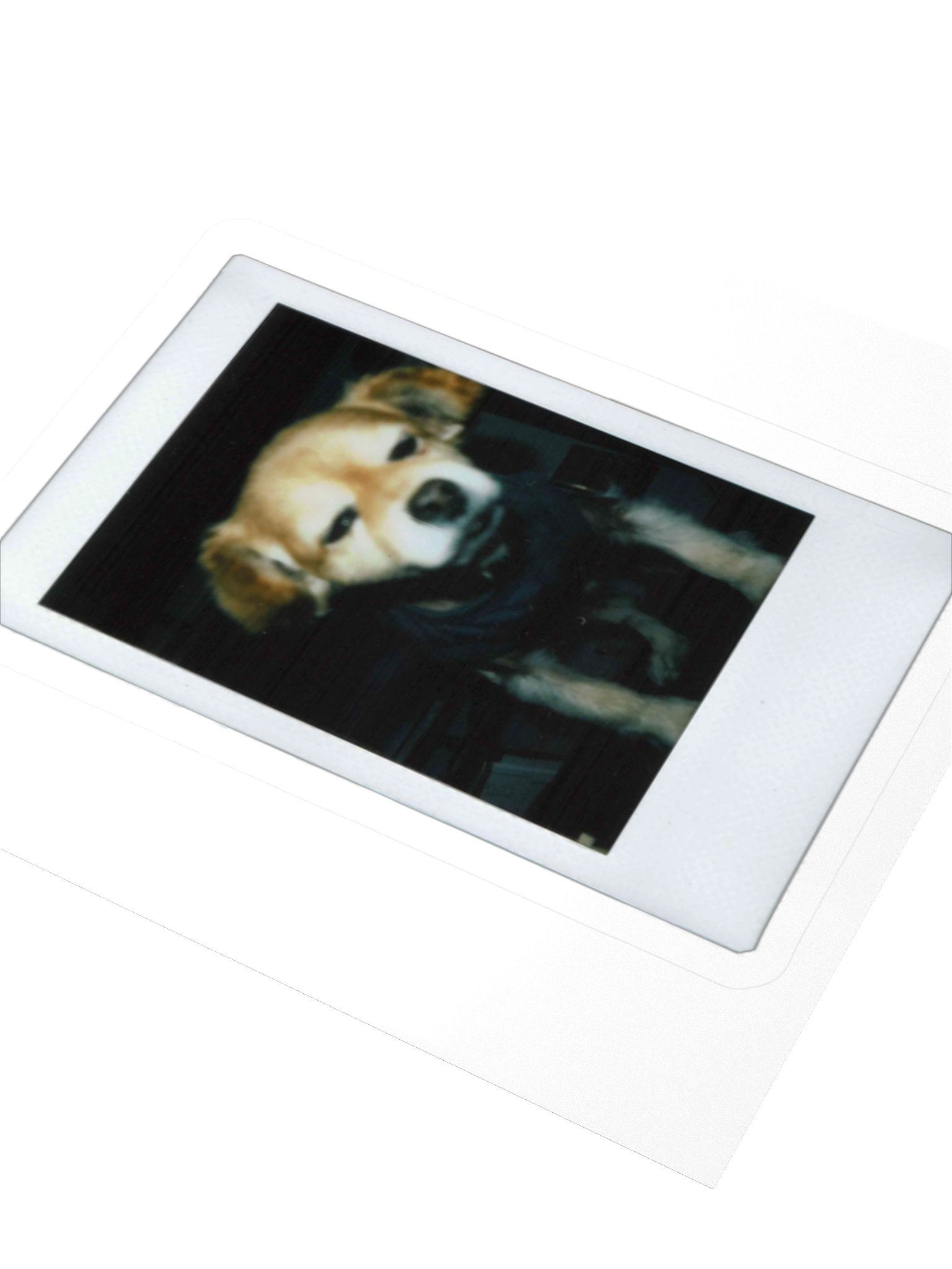 Polaroid E Sticker product image (3)