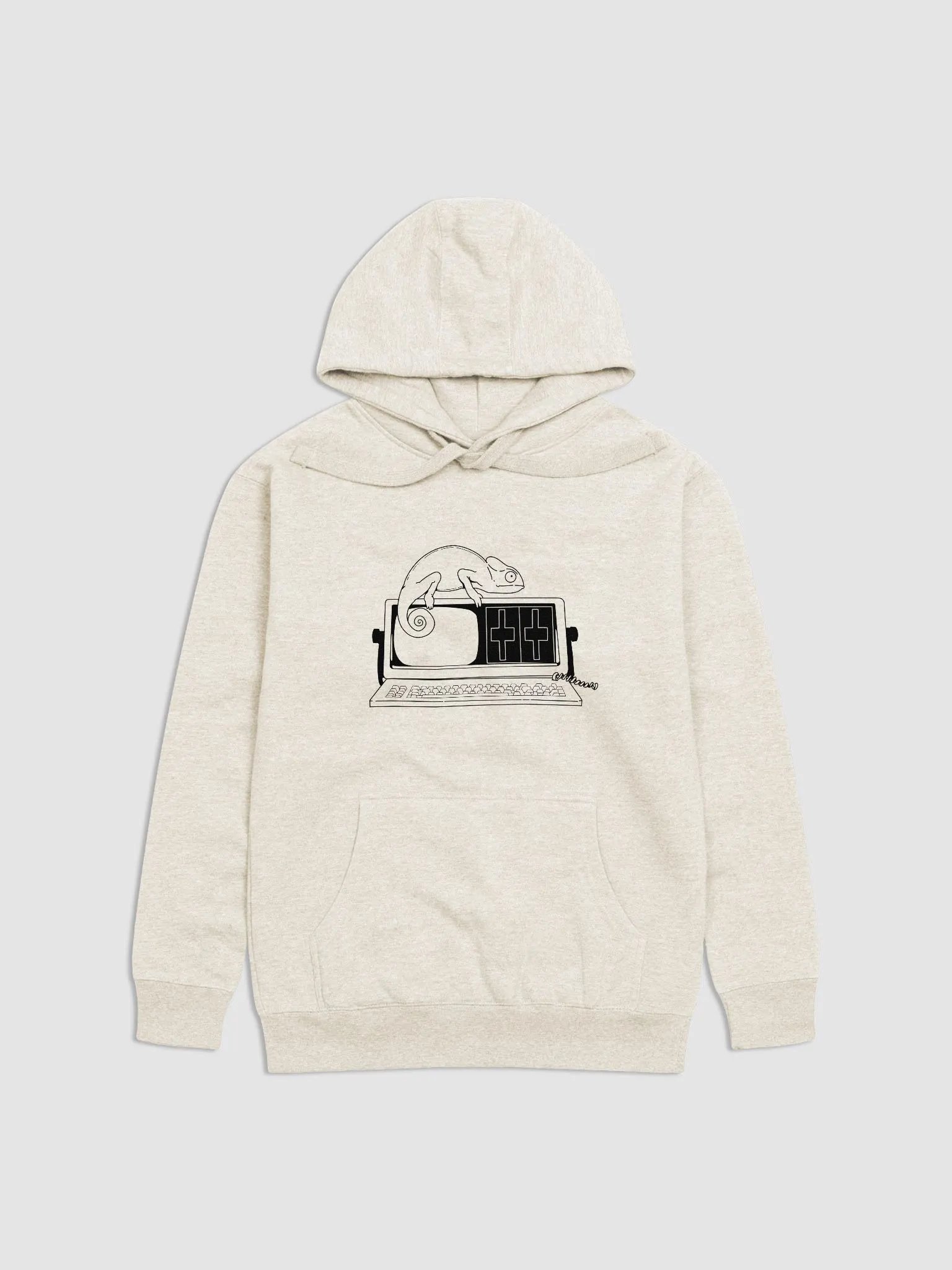 Chameleon On A Chameleon Hoodie product image (1)