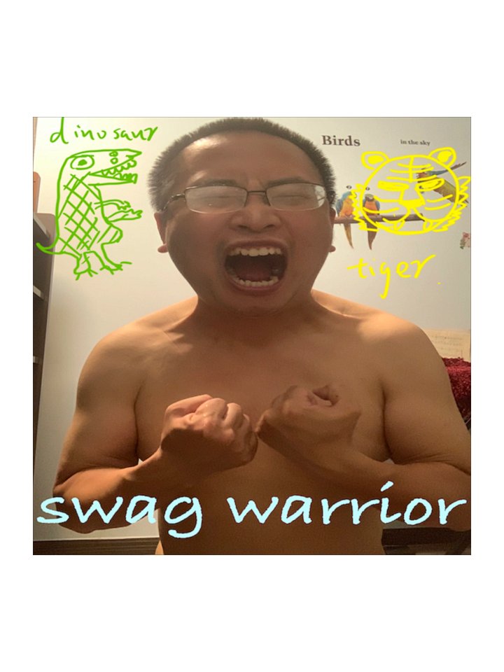 Kiss Cut Stickers: swag warrior 2.0 product image (1)