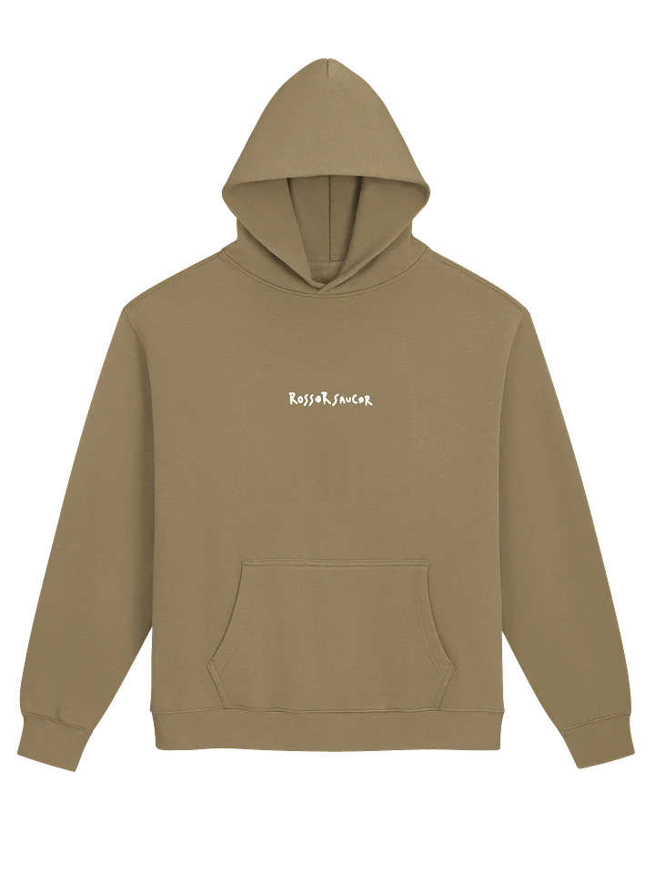 Cozy Comfort R/S Unisex Embroidered Hoodie product image (1)