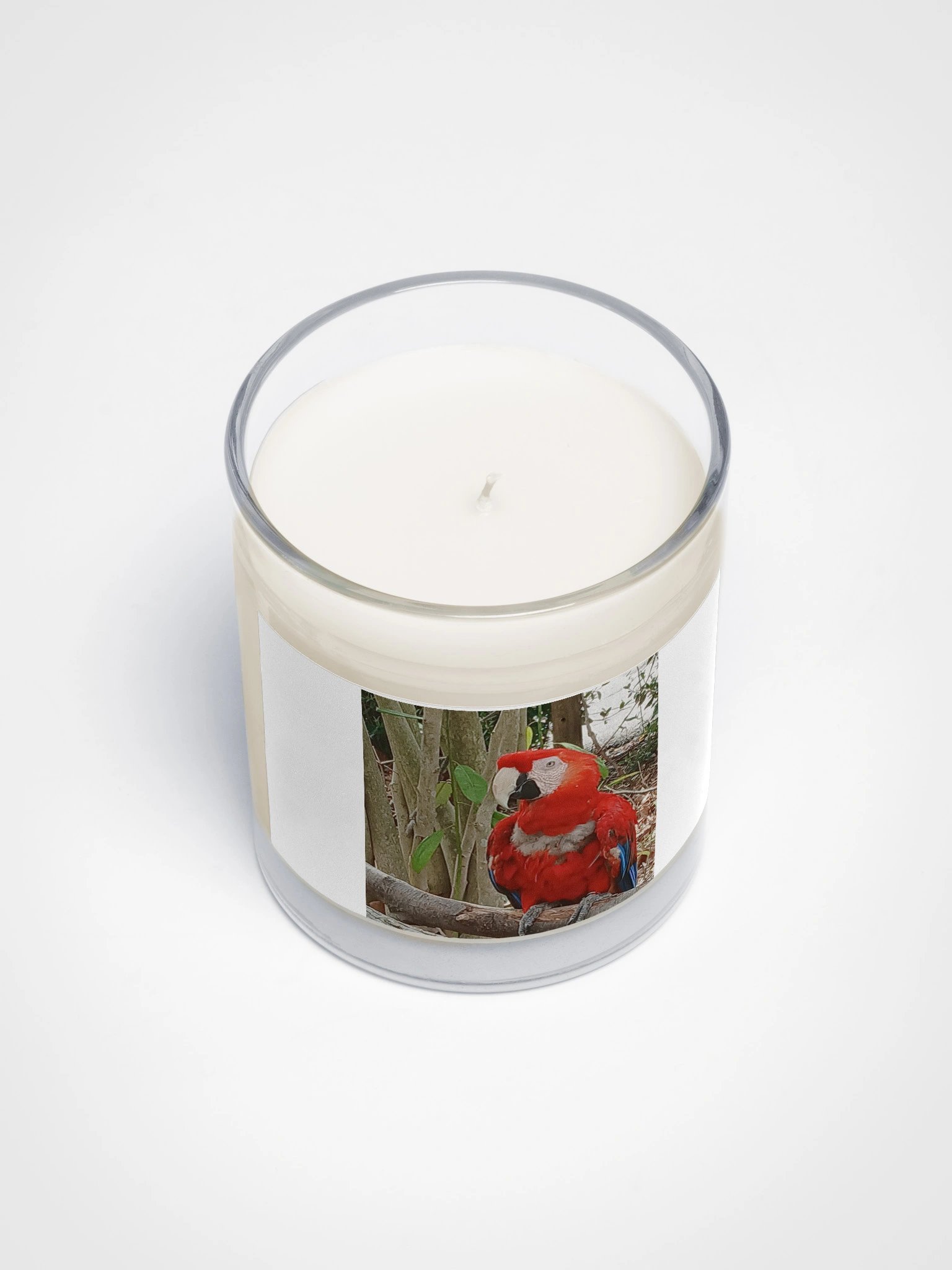 Vibrant Parrott Soy Wax Candle product image (3)
