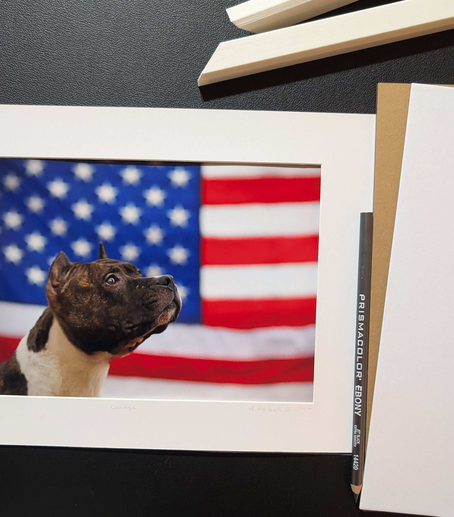 Courage Limited Edition Print – American Pit Bull Terrier USA Flag (Signed 5x7 matted 8x10) product image (2)
