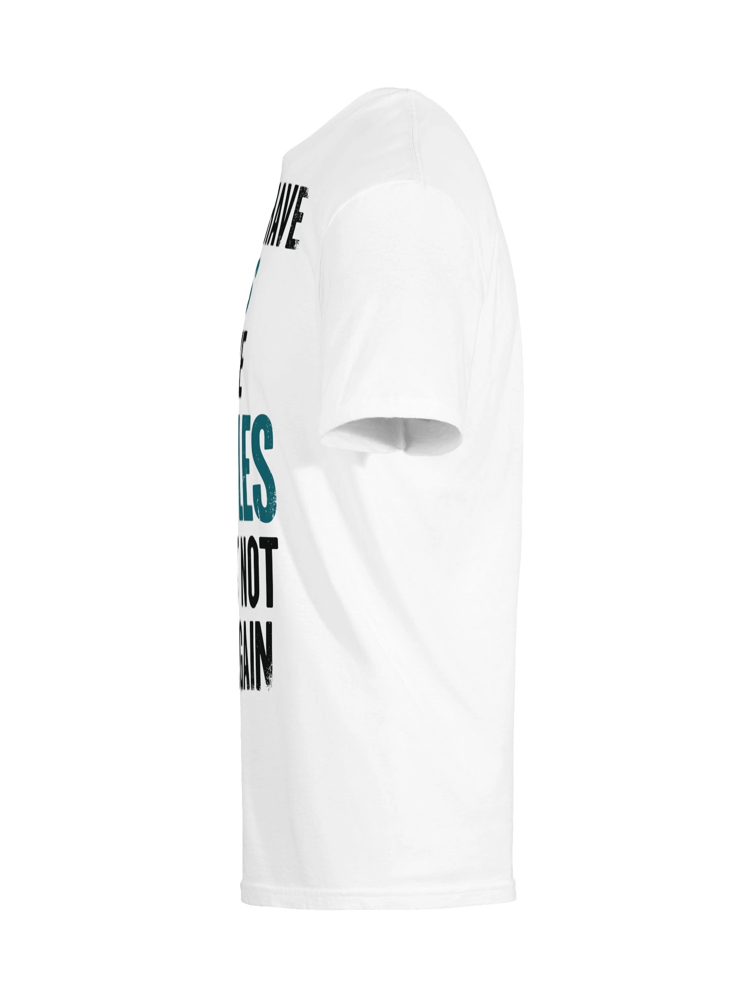 I Have Examples Funny Ex T-Shirt product image (35)