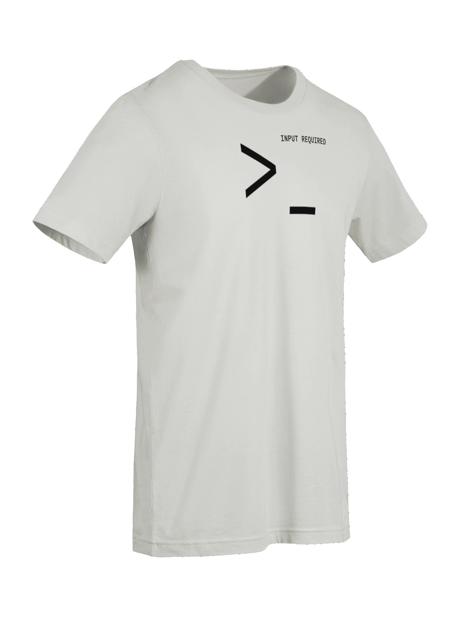 INPUT REQUIRED Minimalist T-shirt product image (44)
