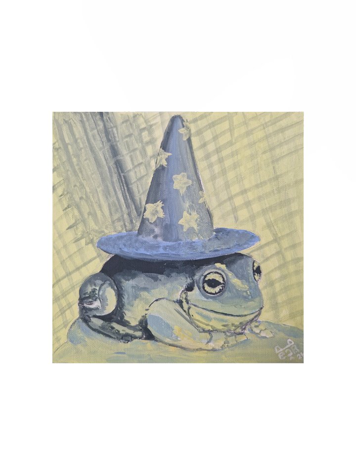 Hat frog print product image (1)