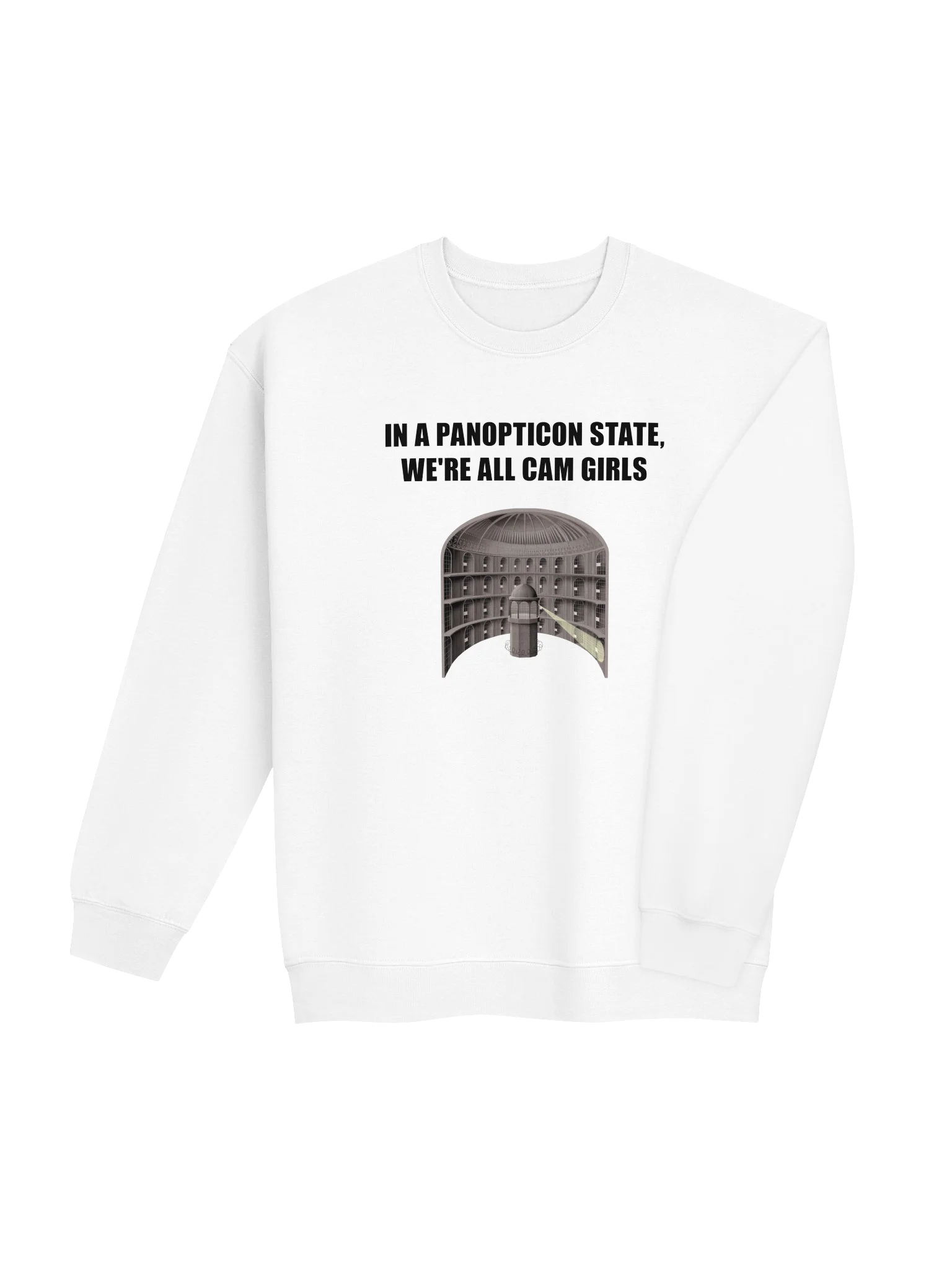 IN A PANOPTICON STATE, WE'RE ALL CAM GIRLS product image (92)