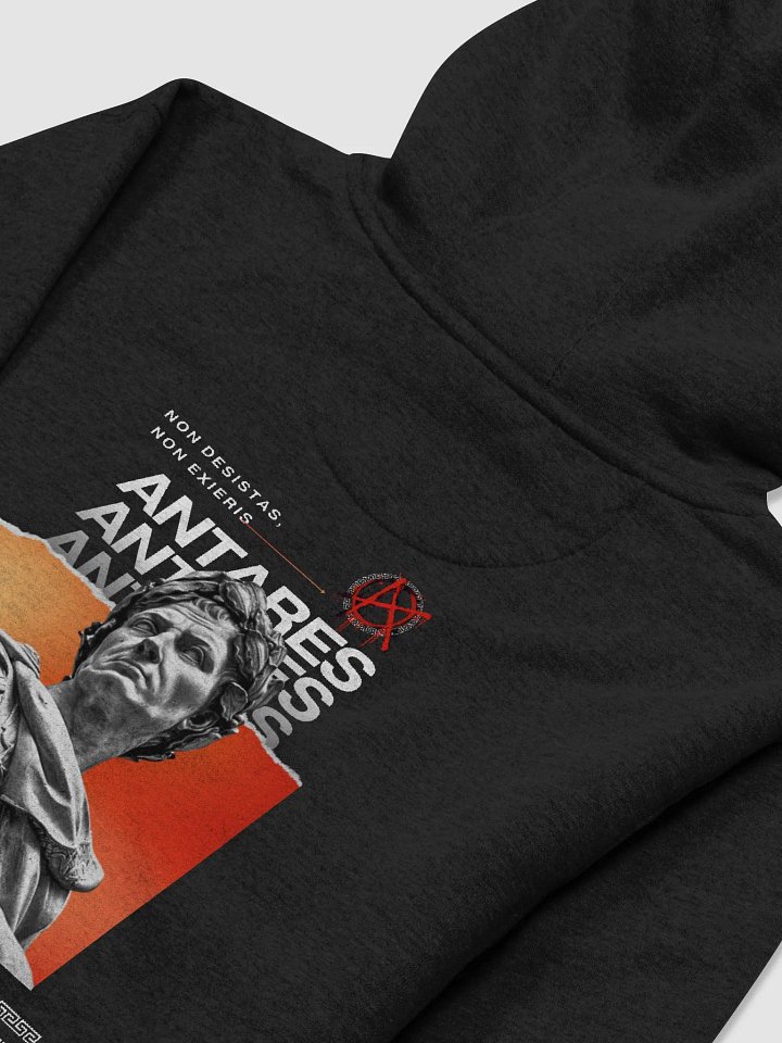 Non Desistas-Hoodie product image (2)