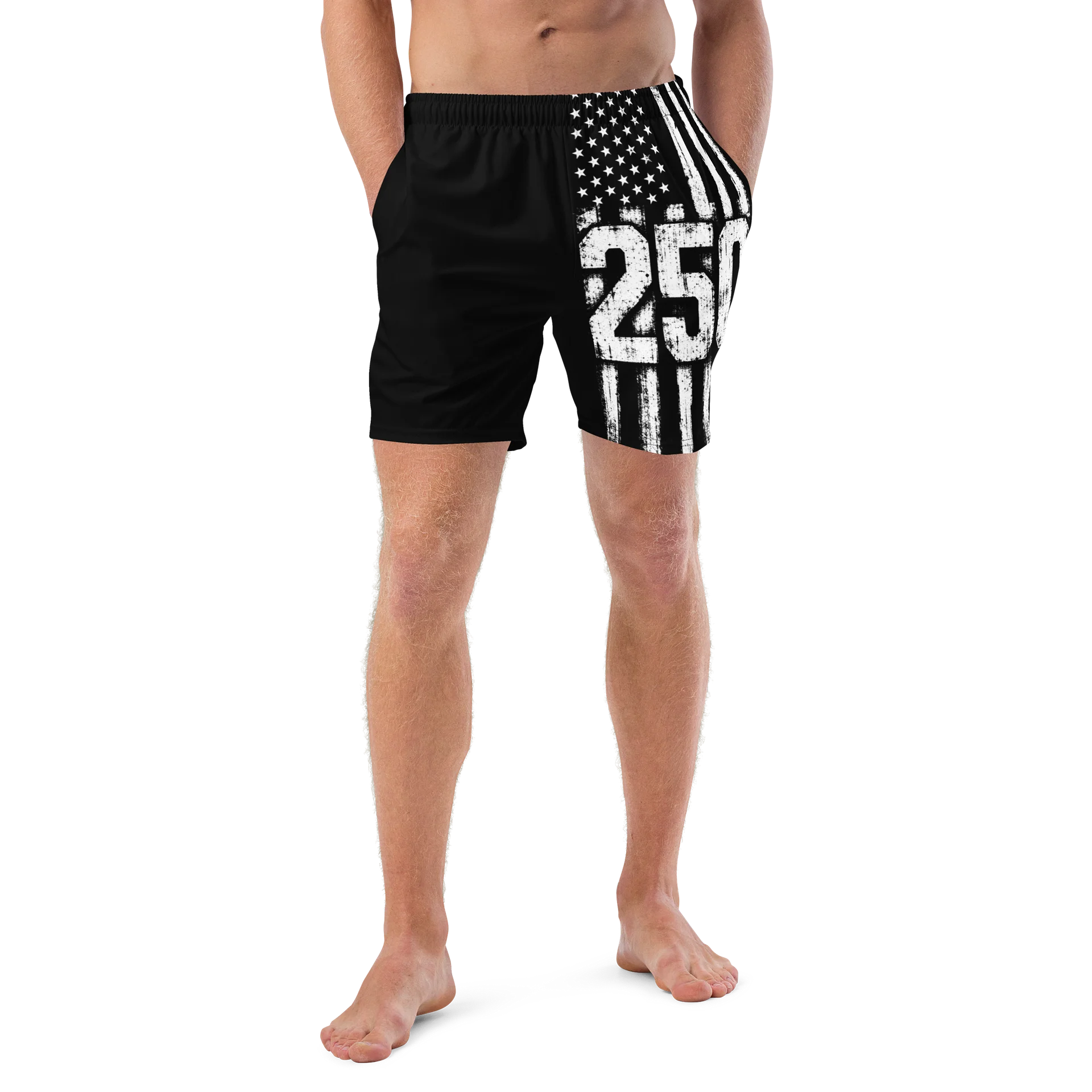 1776-2026 250th Anniversary Flag Shorts product image (4)