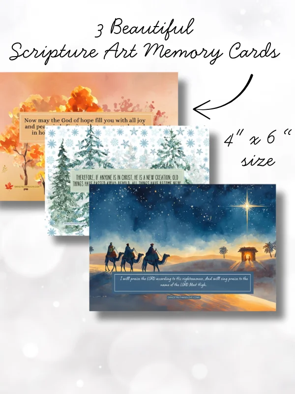 Scriptures & Smoothies Holiday Bundle - HARDCOVER product image (6)