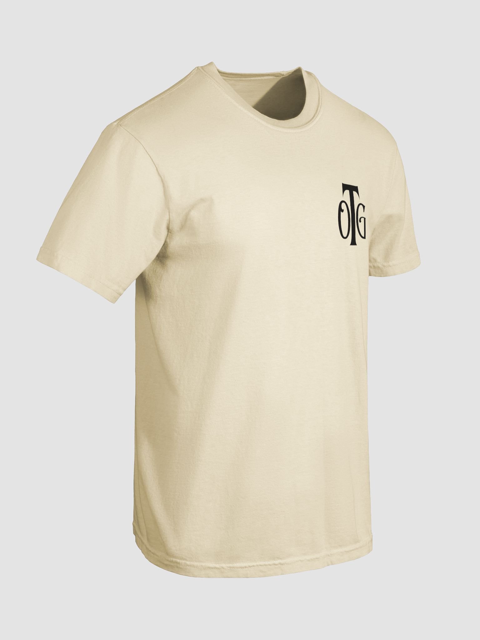 T2 product image (13)