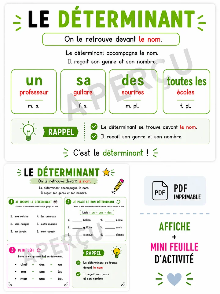 Le déterminant – Affiche + mini feuille d’activité | Un prof et sa guitare product image (1)