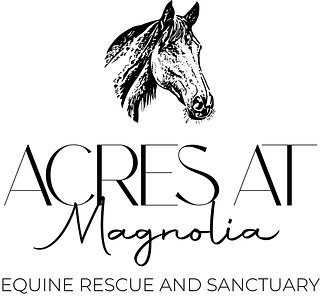 Magnolia Equine Rescue and Sanctuary