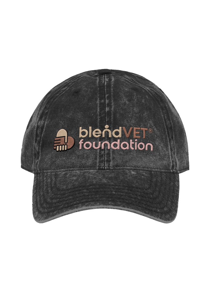 blendVET Foundation - Black Embroidered Dad Hat product image (1)