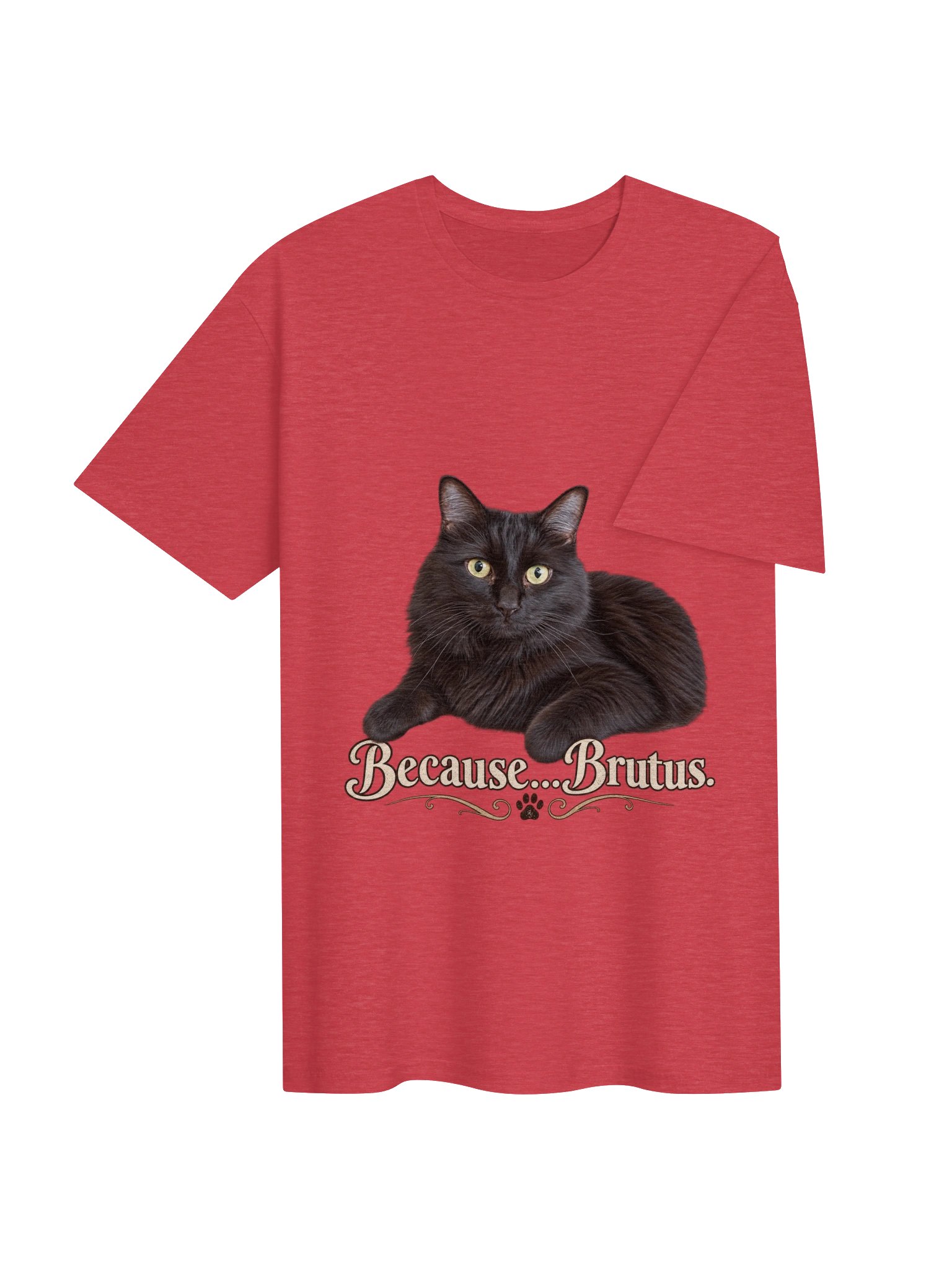 Because...Brutus Classic T-Shirt product image (4)