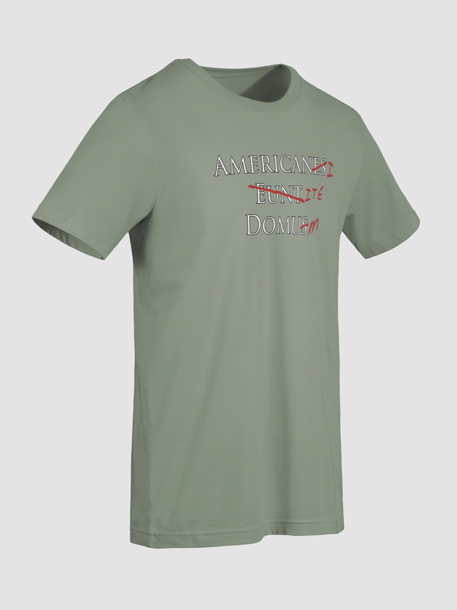 Americani Ite Domum Supersoft Tee product image (5)