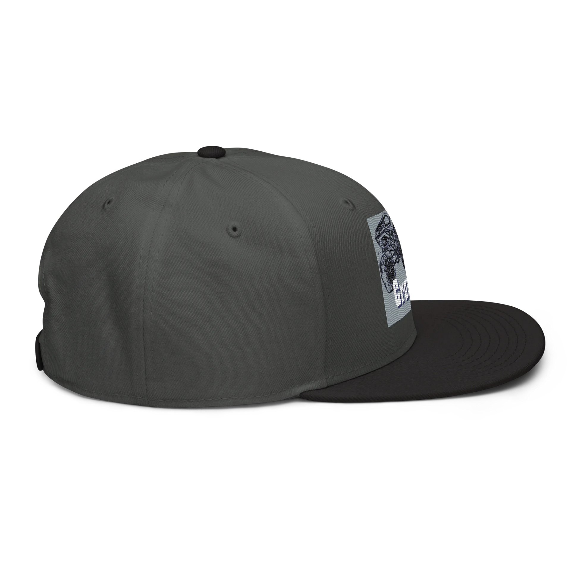 Crawlin' Adventure Snapback Cap product image (6)