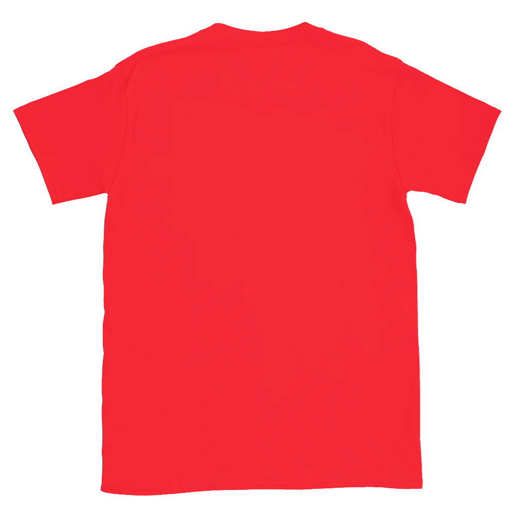 What Is Your Why? Christian T-Shirt | Do All for the Glory of God | Faith-Based Graphic Tee product image (42)