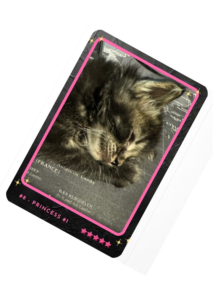 Channel Card 8 - Princess #1 product image (2)