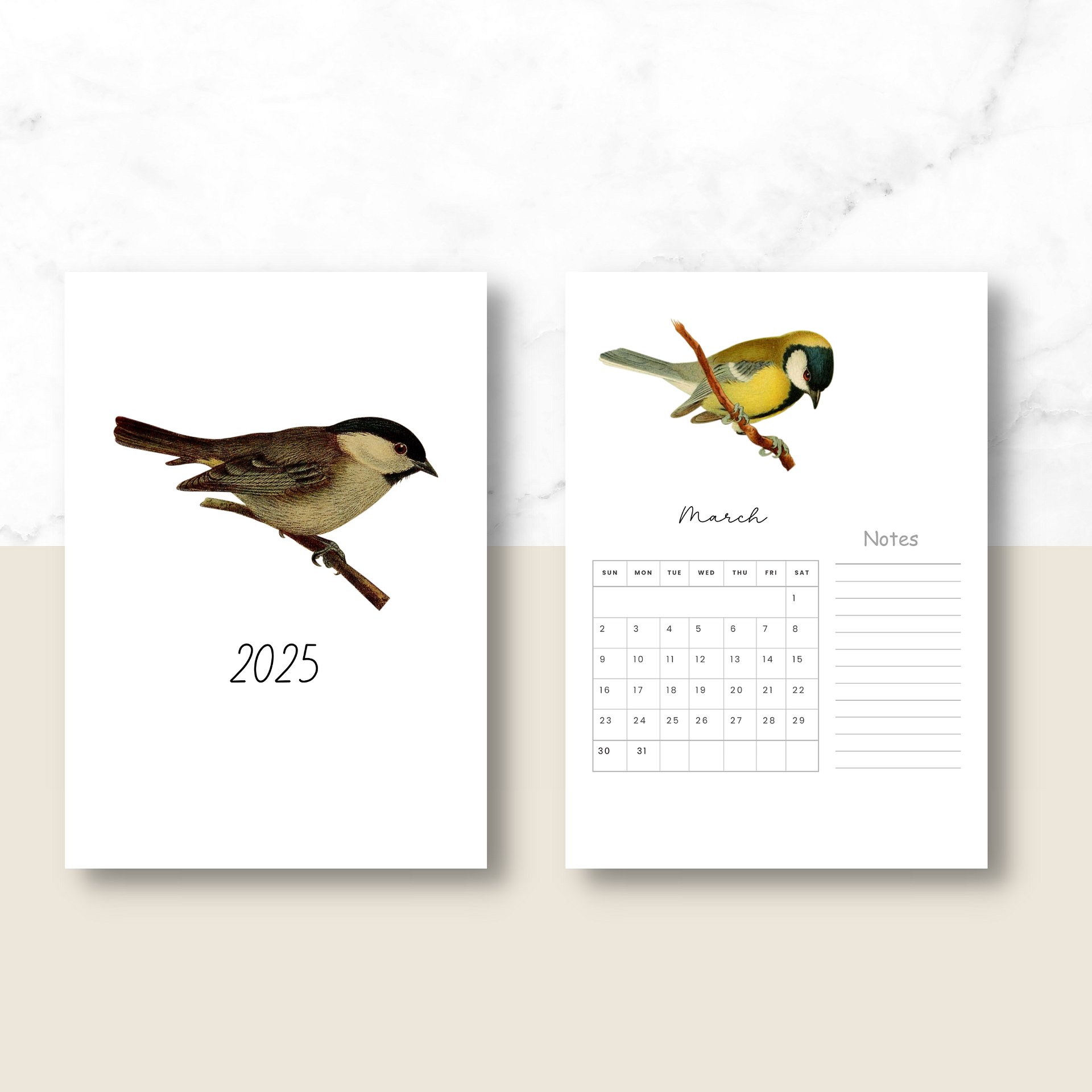 2025-2026 PDF Calendar: American Birds product image (3)