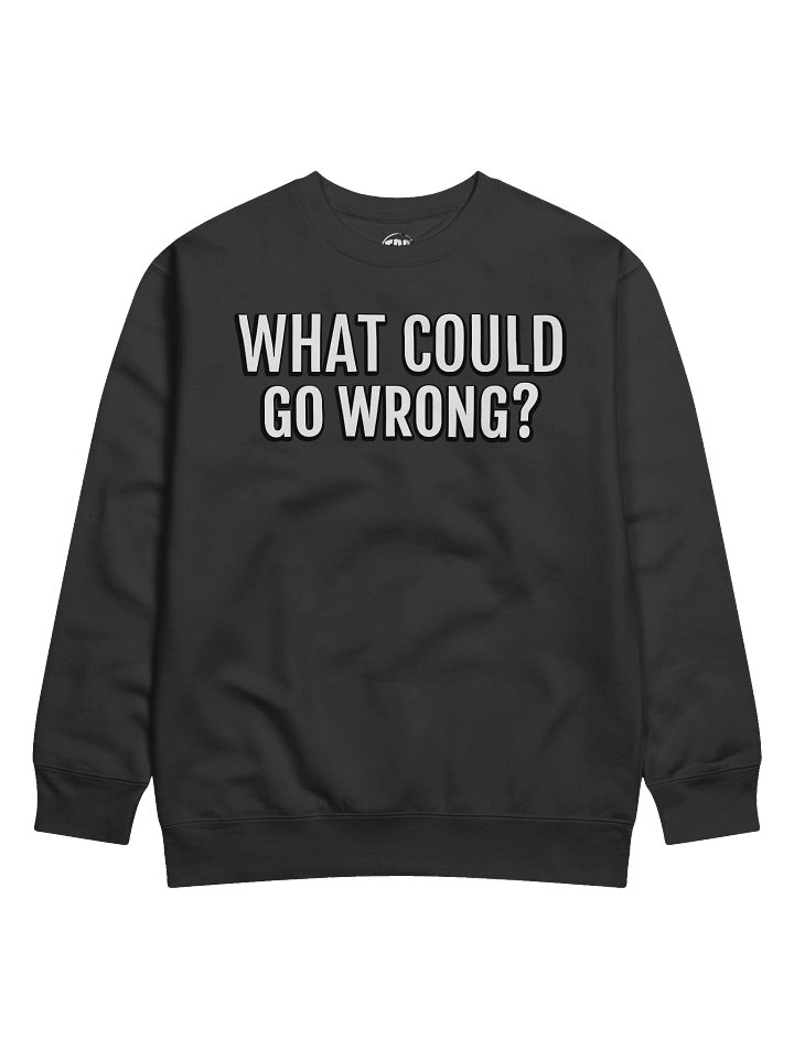 What Could Go Wrong - Sweater product image (1)